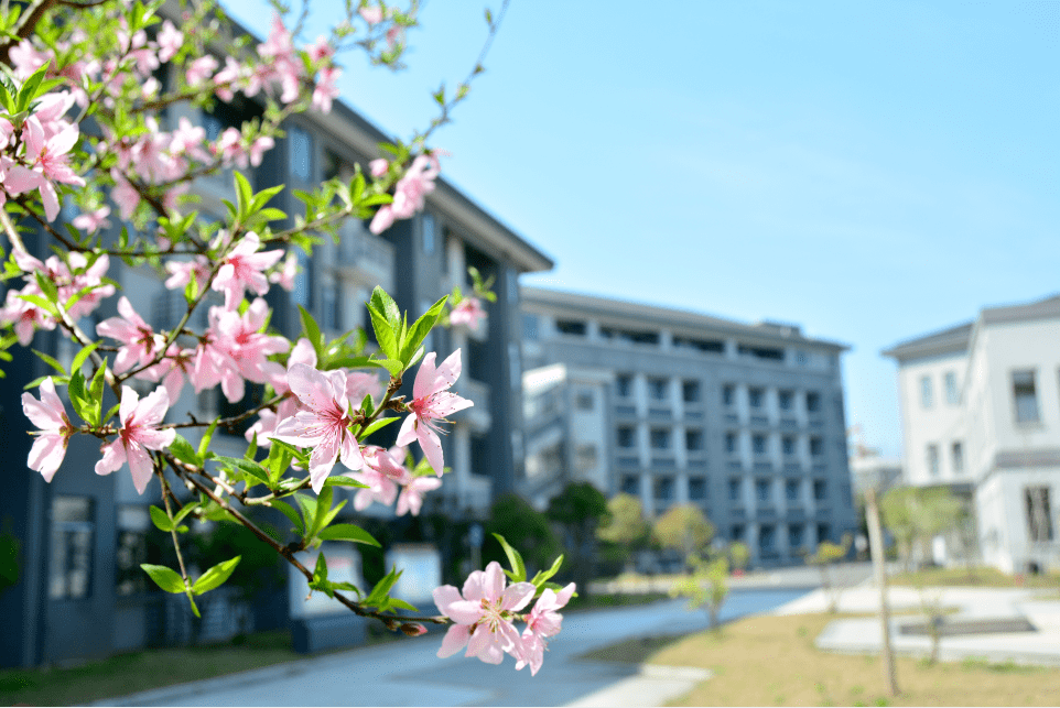 新登镇中心小学(福光校区)