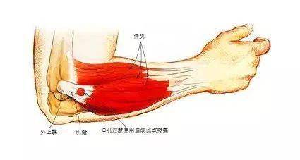 独门拉筋法,值得珍藏!