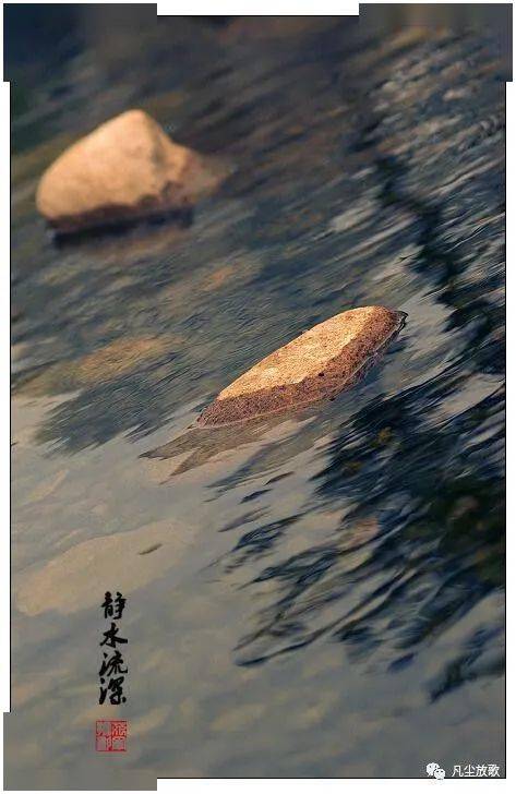 凡尘放歌曼妙的风景莫过于静水流深