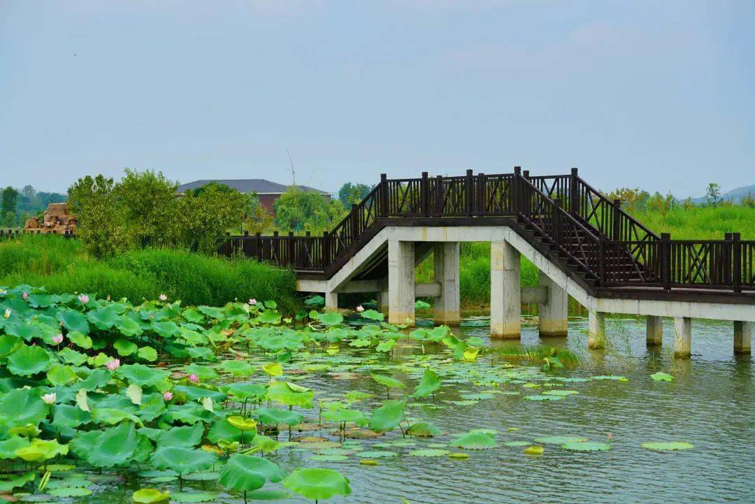 留在巢湖过大年丨巢湖中庙姥山岛景区旅游攻略
