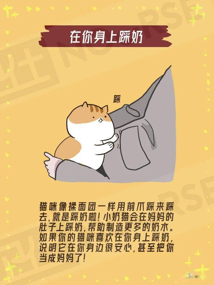 一万个「喂」什么 | 猫咪对我眨眼睛,是什么意思?