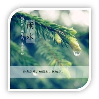 二十四节气-雨水