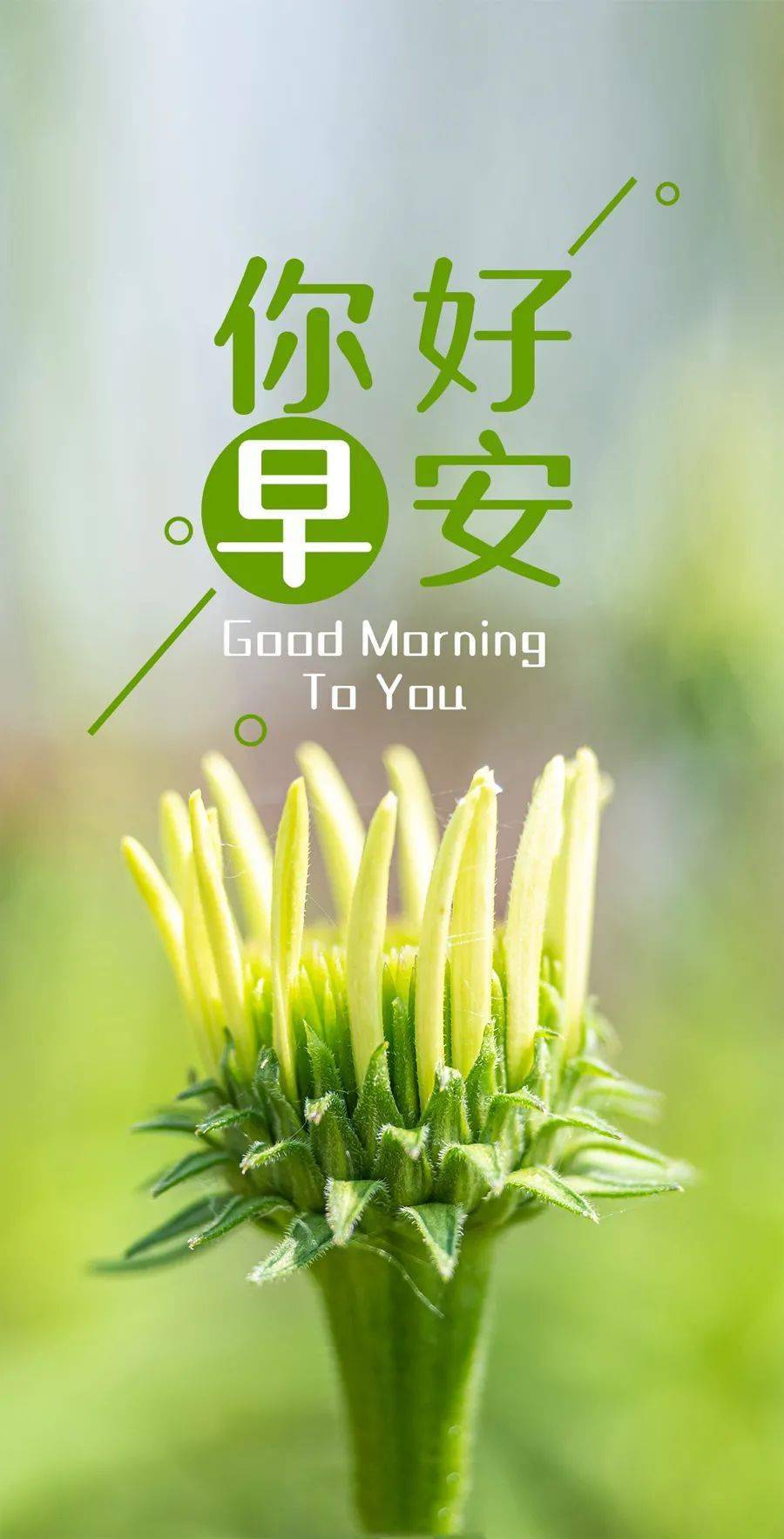 2月10日早安心语正能量感悟谏言漂亮的早上好图片带字正能量