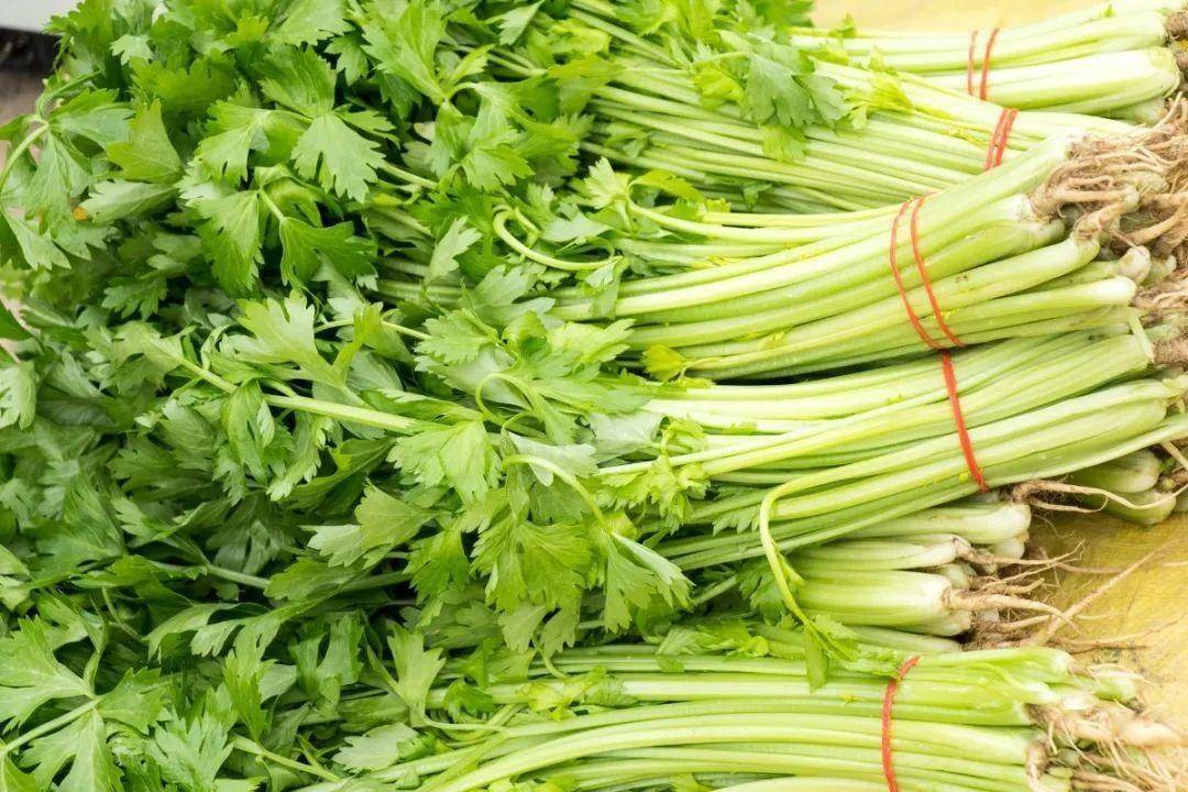 注意:大家平时吃芹菜,主要是芹菜茎吃得比较多,其实它的叶子和根须