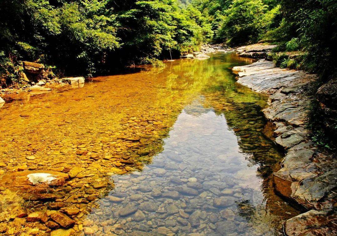 春节不打烊丨油杉河景区邀您迎新春