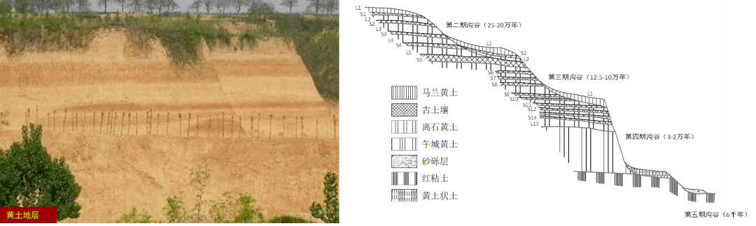 从地质历史的角度,依据黄土沟谷发育后覆盖的黄土-古土壤序列地层关系