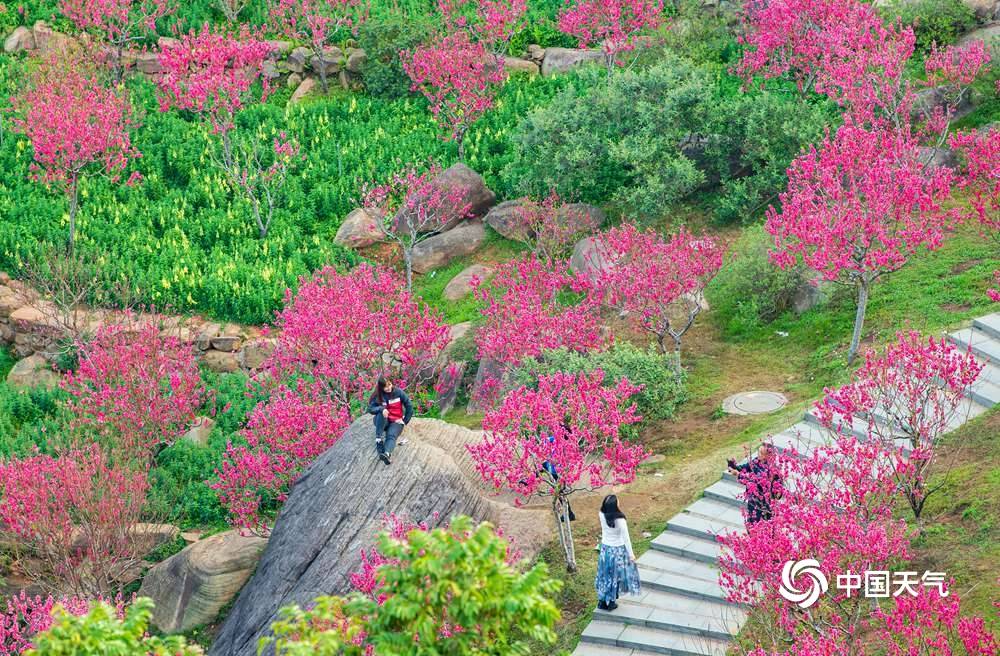 广西南宁桃花岛鲜花俏丽吸引游人