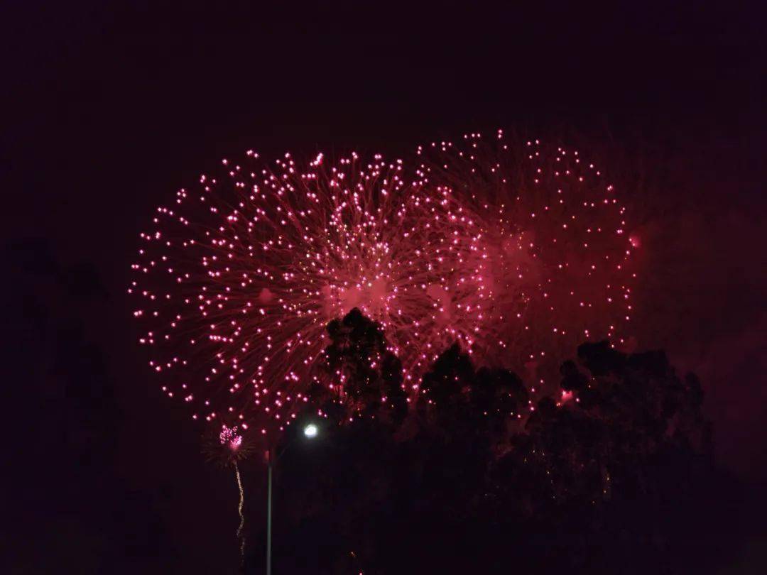 多图 动图 视频!_新年烟花