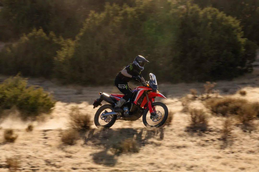 honda 新一代 crf300l,rally:户外特写