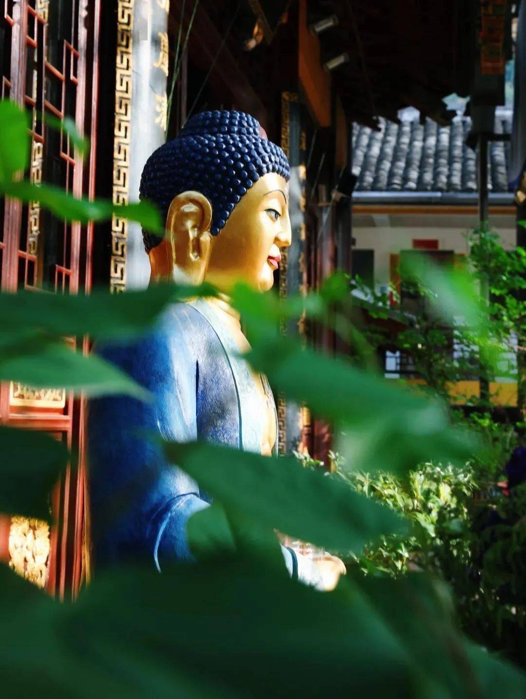 佛乐:《佛在灵山莫远求》灵山只在汝心头