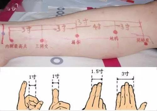 全身最重要的74个穴位讲解(附图)
