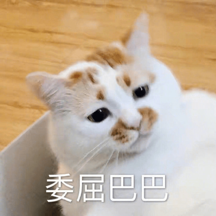 【沙雕表情包】沙雕猫猫表情包
