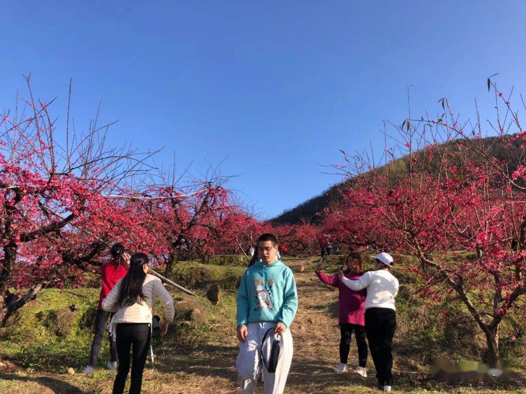 花海正旺信丰这些网红打卡地你去了吗