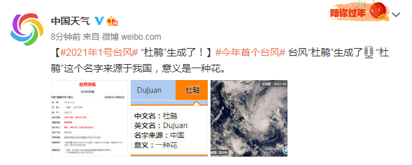 台风|2021年1号台风“杜鹃”生成了！