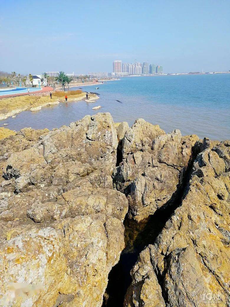 大美台州再添一网红景点!今年首次亮相,就火了!