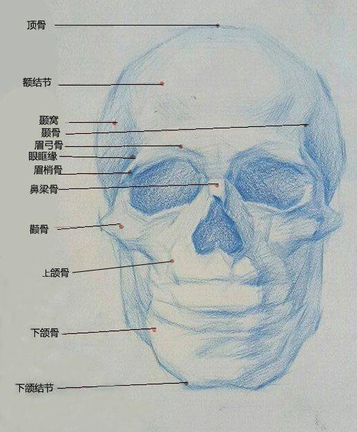 脑颅由前面的额结节,头顶的顶骨,后面的枕骨及耳朵两侧的颞骨,颞窝