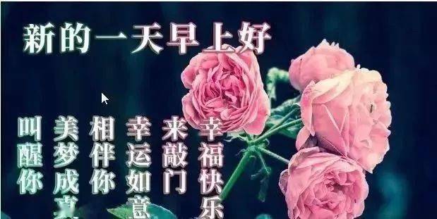 2021年早晨祝福语图片,2021年早晨祝福图片 2021精选超漂亮早晨表情套图 早上好问候祝福语