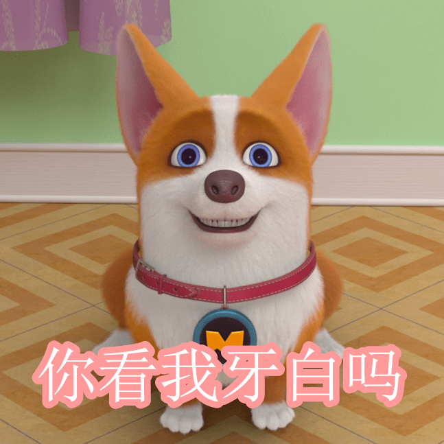 小狗狗能有什么坏心思,我只想做个表情包