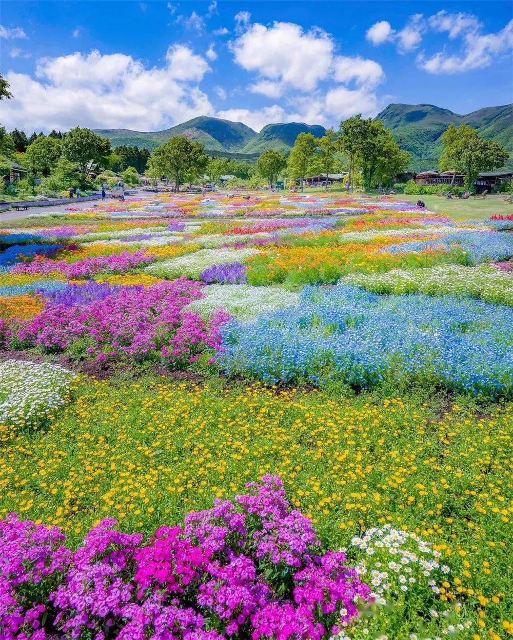 世界,繁花似锦!