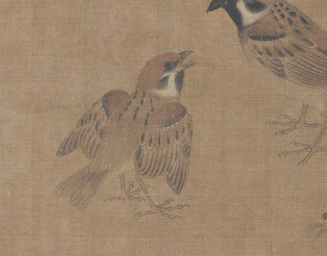 唐辉建|《写生珍禽图》临摹班(只需200元)