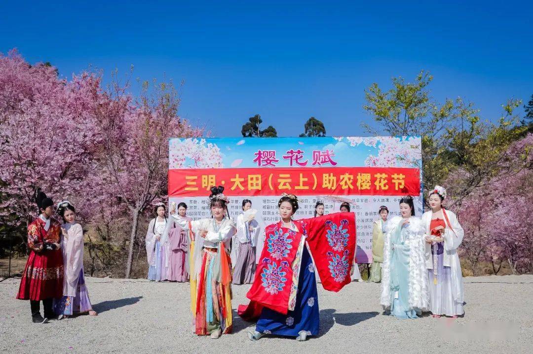 大田首届云上樱花节今日开幕