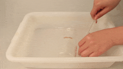 开水烫奶瓶,孩子得胃病: