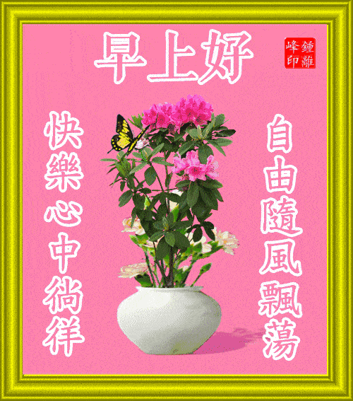 微信群发早安祝福动态图片,新版漂亮早上好贴心问候祝福语