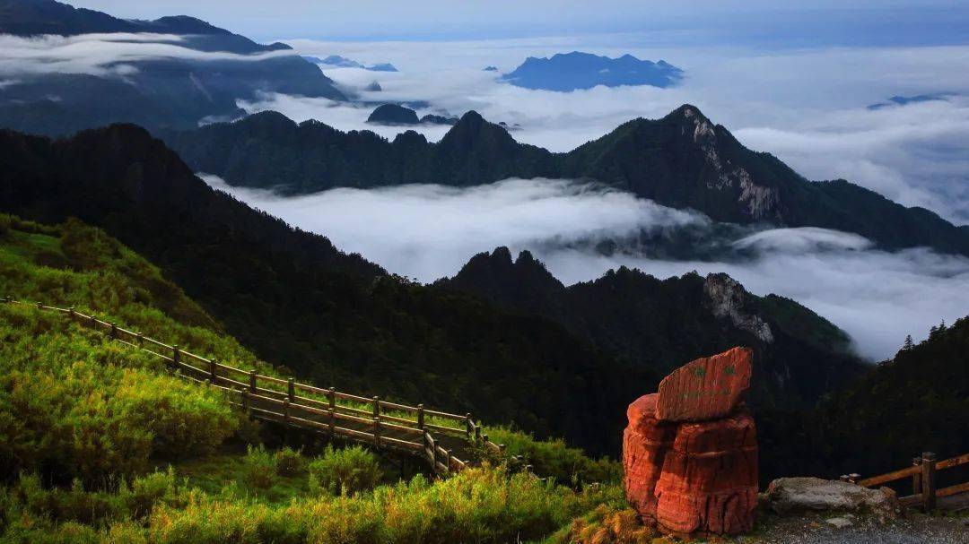 《神农架云海(拍摄地点:神农架凉风垭)
