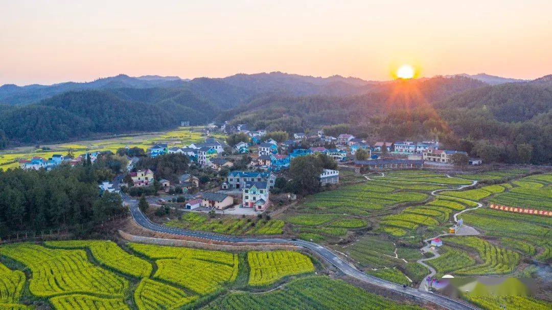 2月20日,航拍江西省吉安市万安县田北农民画村景区,只见油菜花盛开,田