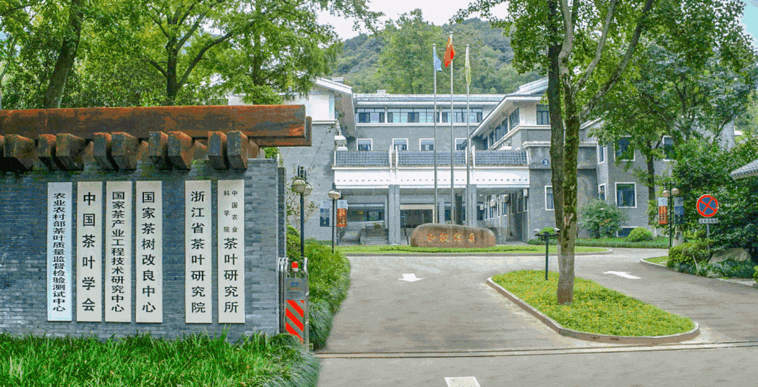 点击边框调出视频工具条