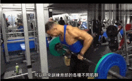 史上最全健身动作集绵,告别瞎练,从此不求人!