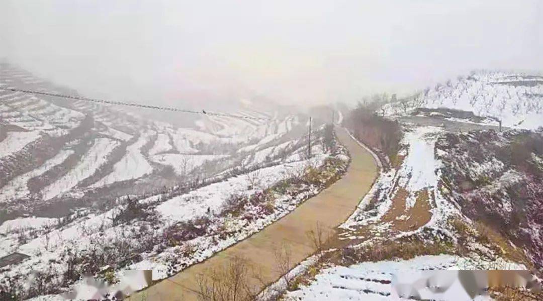 林场铁龙湾村洛川厢寺川林场安塞处处都是银装素裹的冰雪世界山是白的