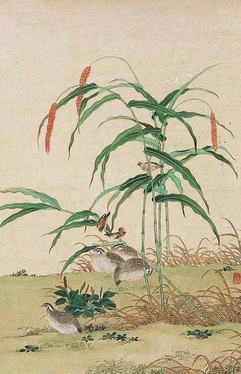 平安喜乐|工笔画中的鹌鹑(85幅)