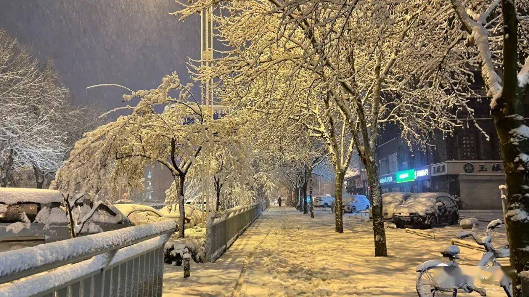 当春天遇见冬天,这场大雪温暖了这座城市