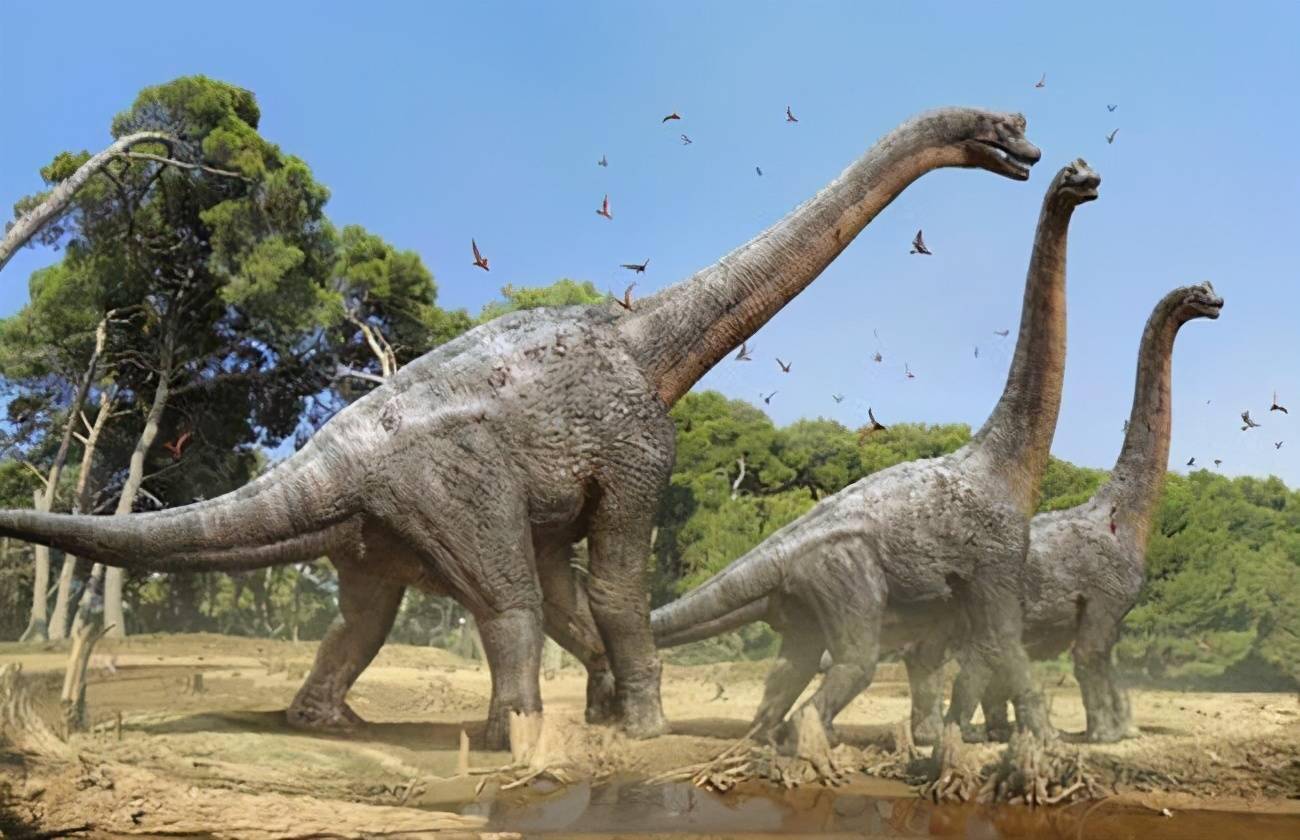 我们都知道在地球的远古时期就产生过很多巨大的动物,比如腕龙,梁龙