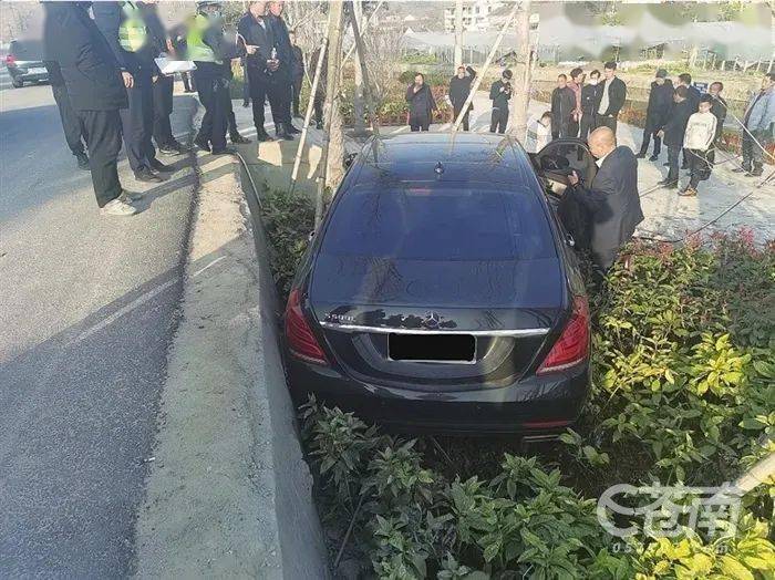 苍南车祸,奔驰栽进绿化带….