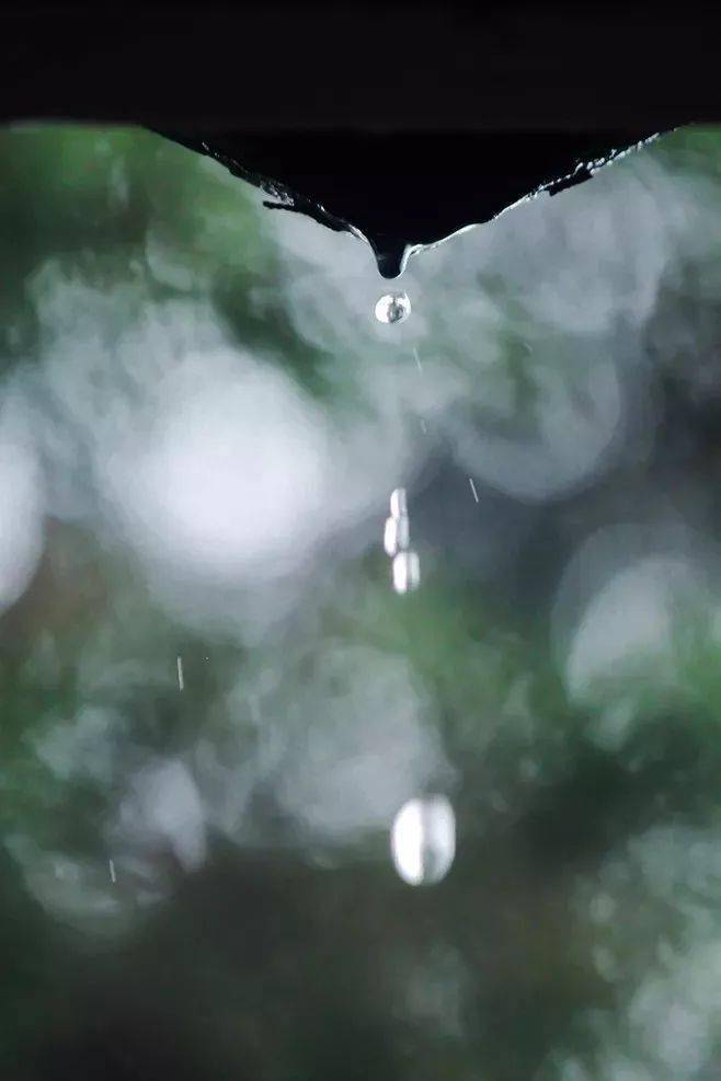 檐雨江南最美的诗词