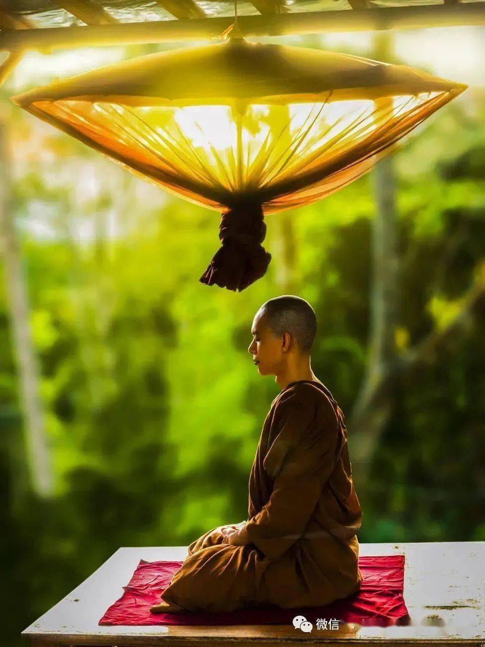 世事尘劳常挂碍,深山静坐也徒然.