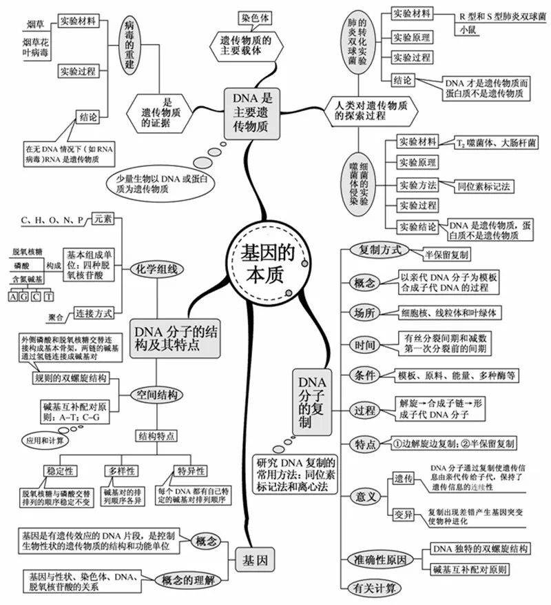 超全高中生物思维导图,20张图扫清三年知识点!