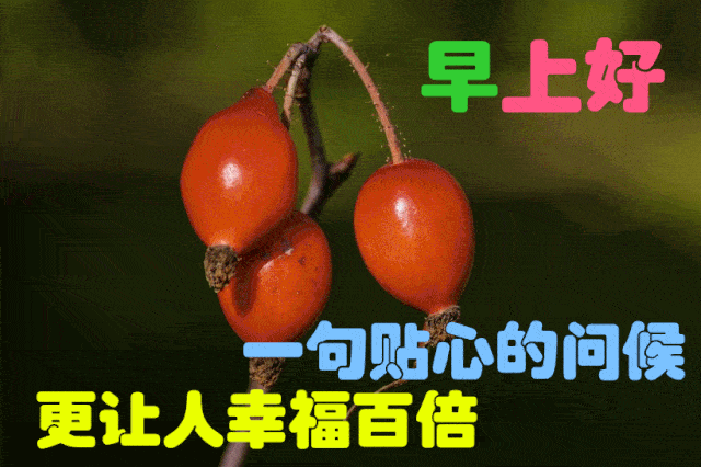 3月1日最漂亮早上好动态表情图片大全,早晨好动图美图