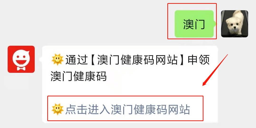 检查本人澳门健康码及核酸检测证明是否有效,若不符合要求,请按澳门