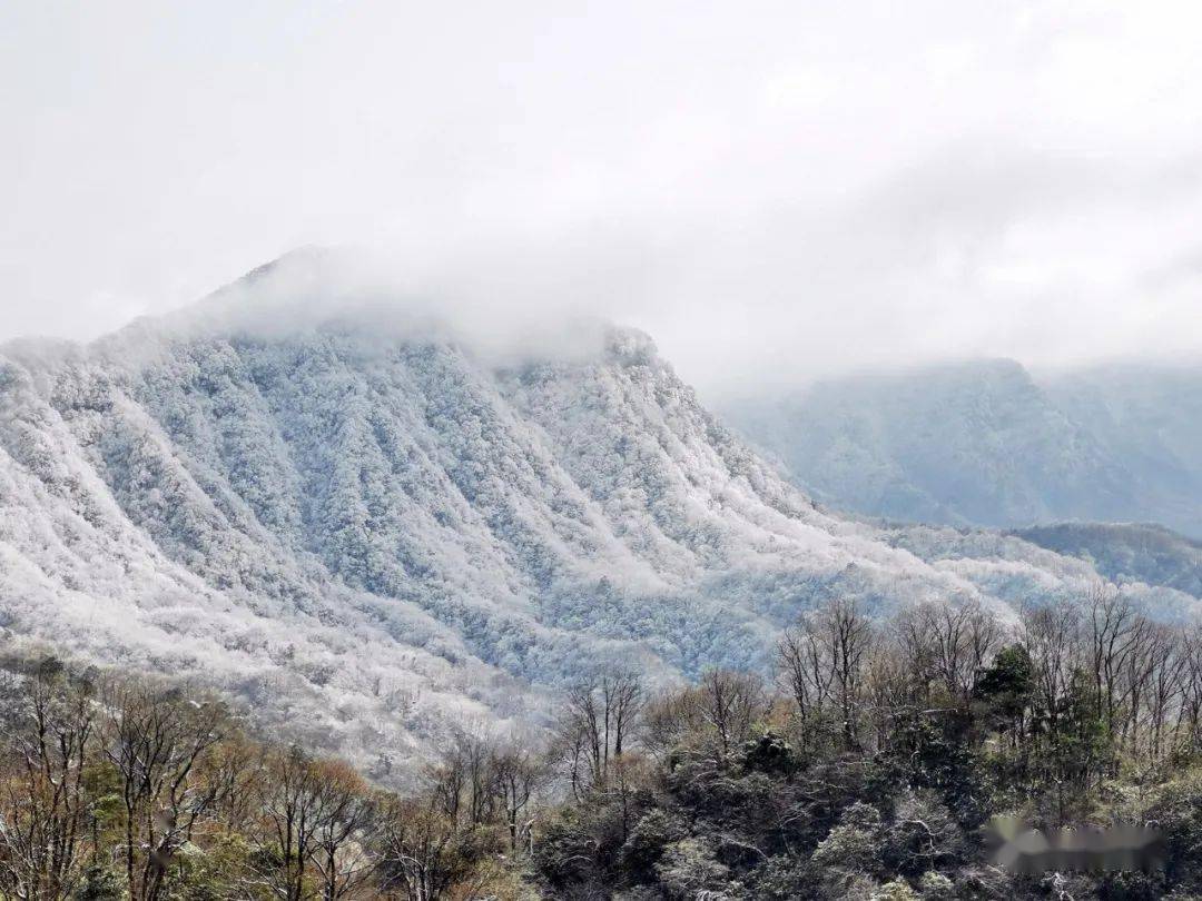 你见过三月飘雪吗巴中光雾山有