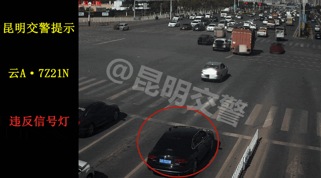 3月2日 昆明交警曝光一批 不走机动车道,违反信号灯等 交通违法行为