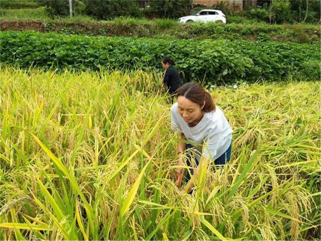 通江这些个人,集体在全市出名啦_通江县