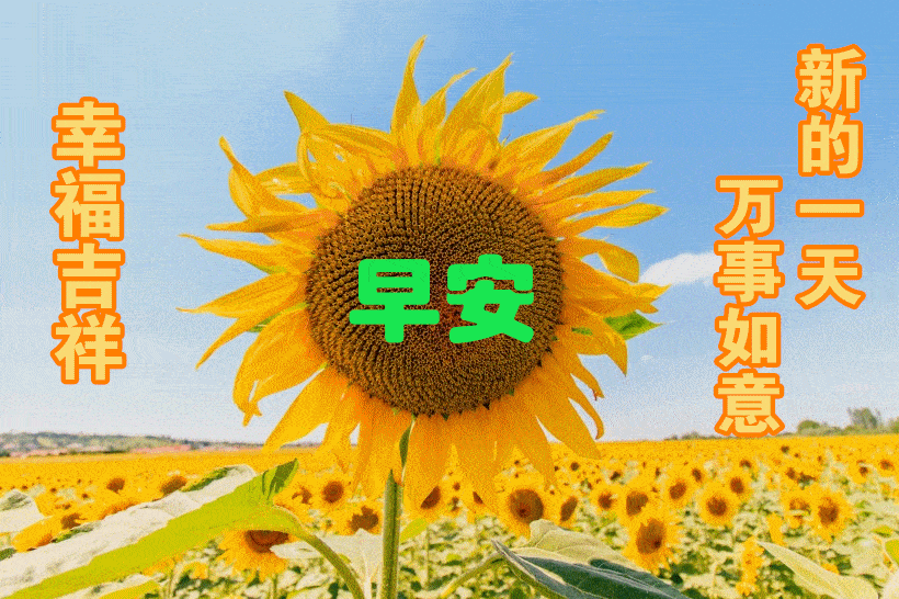 3月4日最漂亮早上好动态表情图片大全,早晨好动图美图