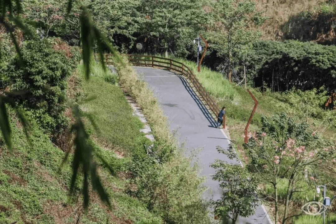 大水坑段位于龙华区大水坑,东起龙观快速路,途径观澜森林公园大水坑