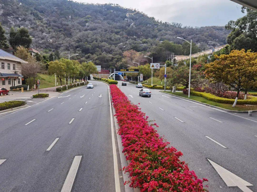 线滨海西大道同集路·木棉同集路潘涂村口海翔大道·木棉民安大道