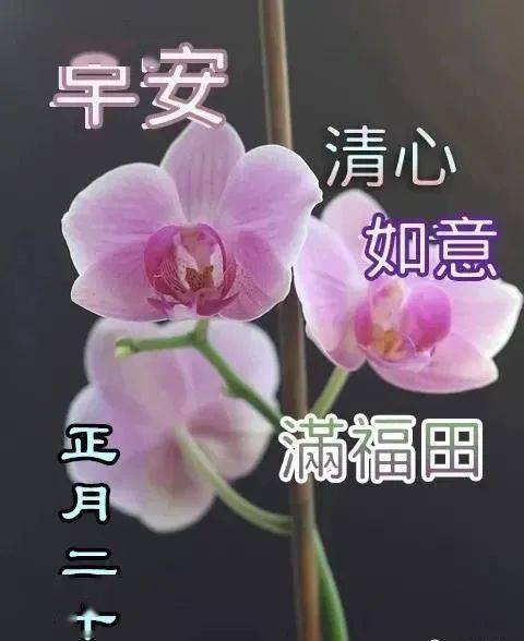 3月5日周五早安暖心问候祝福图片带字 朋友圈早上好问候祝福语精选