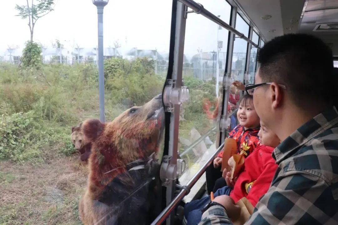 临泉魔幻动物园