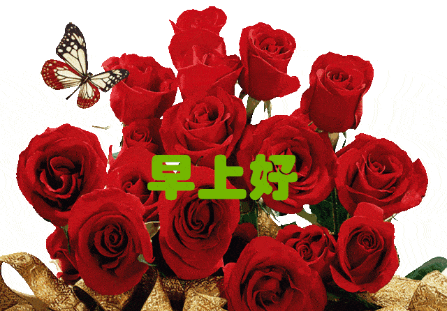 是文字,把心灵吸引;博客小屋,欢歌笑语.